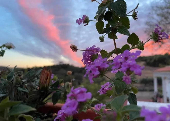 בית נופש Santo Antonio