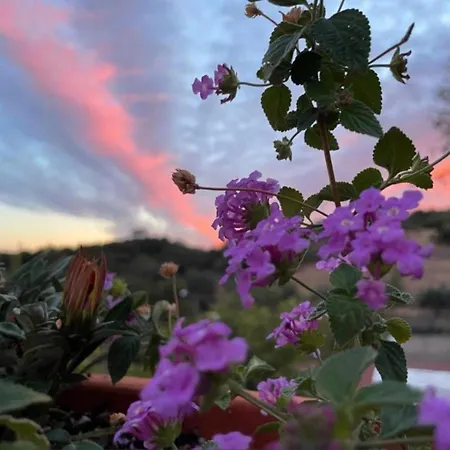 Tatil Evi Santo Antonio